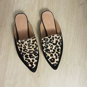Leopard mules